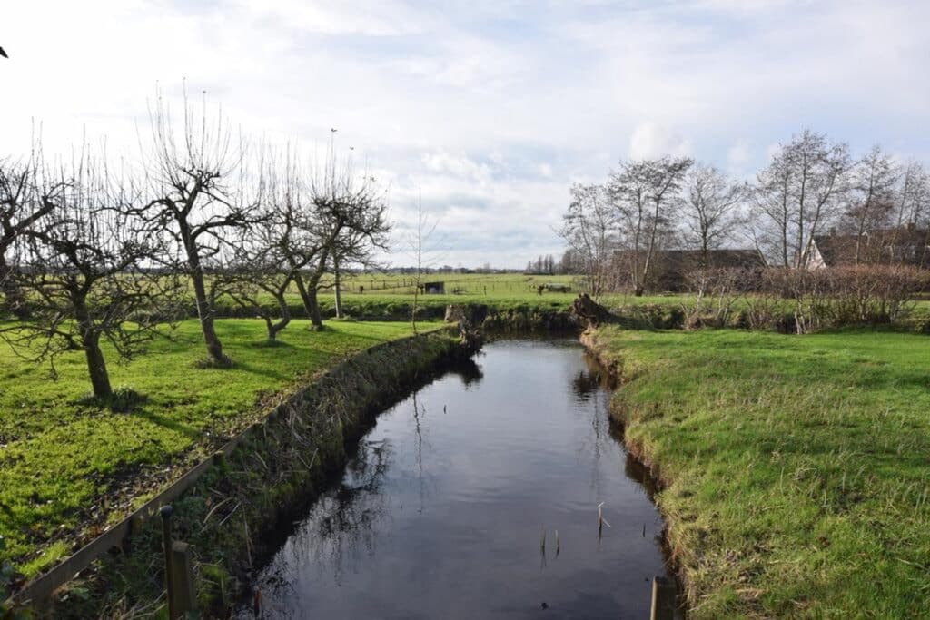 Looydijk 73
